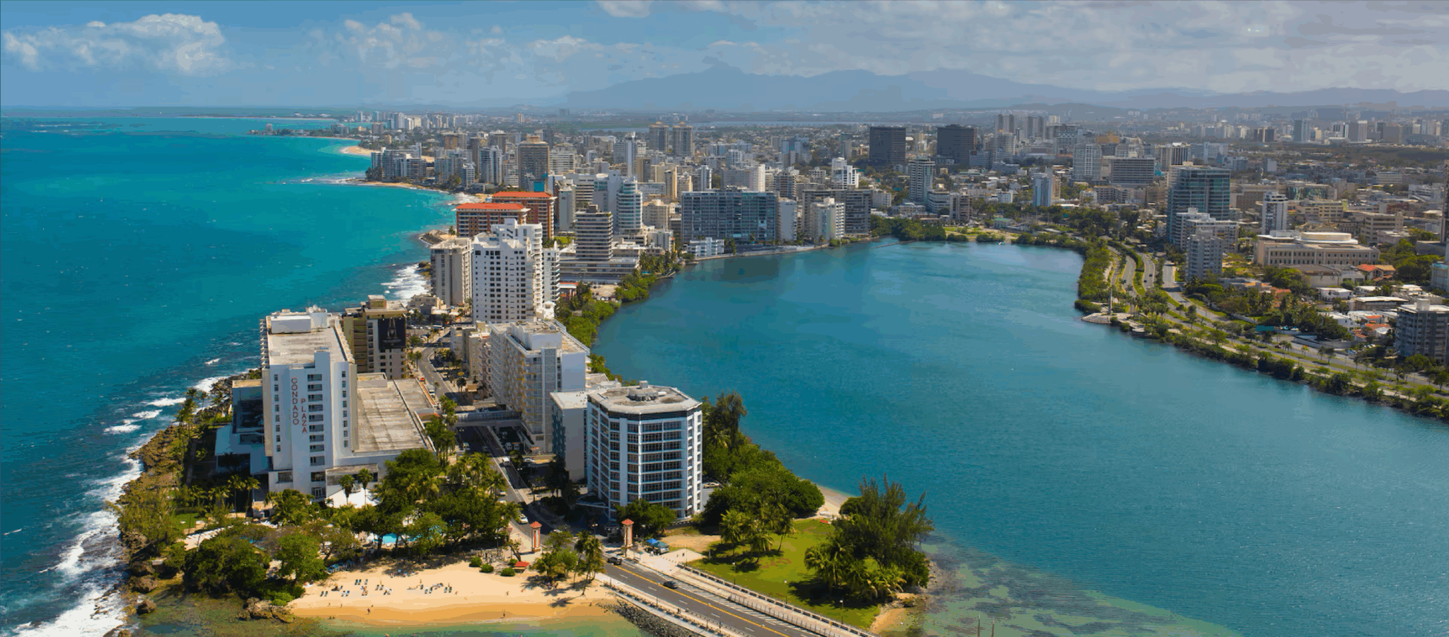 Api Rebia REBIA – Racial Equity Building Institute for the Americas